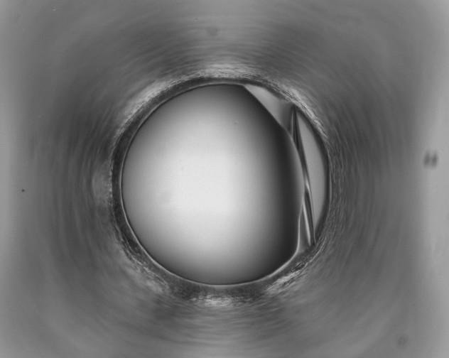 X0000090500531200707201549