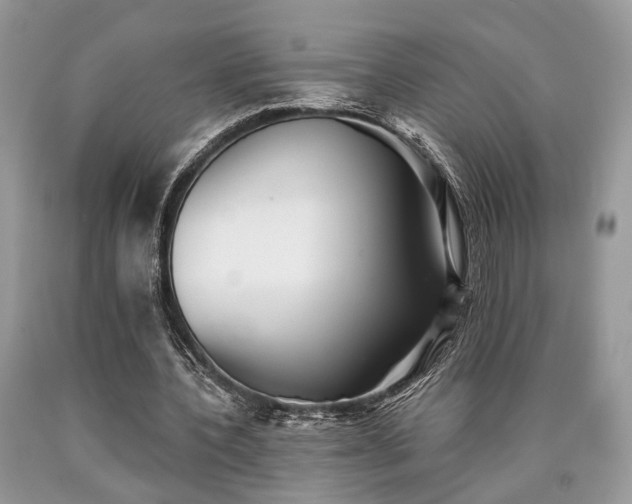 X0000090500532200707201549