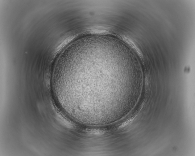 X0000090500533200707201549