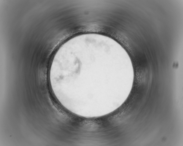 X0000090500534200707201549
