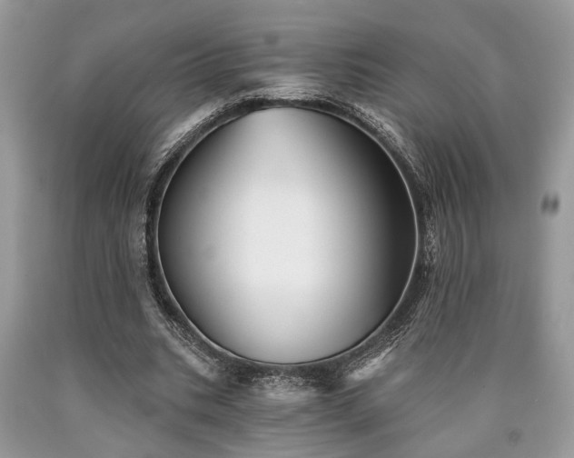 X0000090500535200707201549