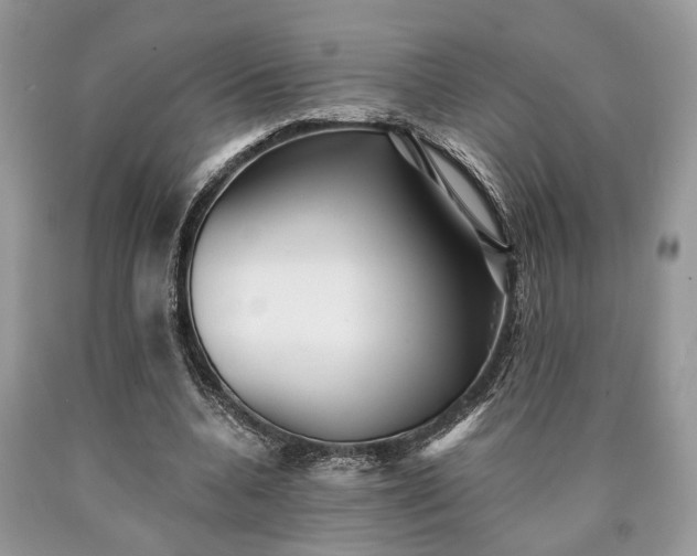 X0000090500536200707201549