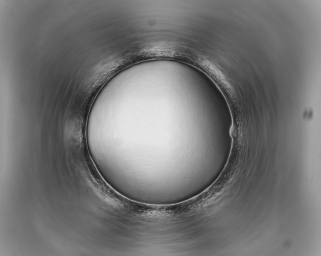 X0000090500537200707201549