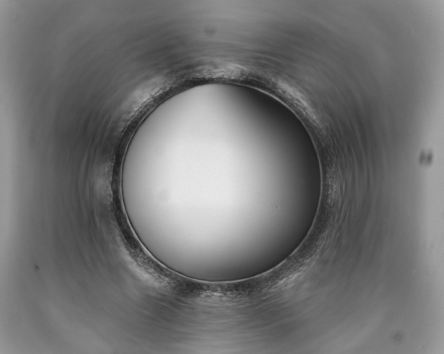 X0000090500538200707201549