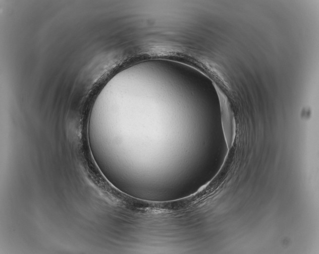 X0000090500539200707201549