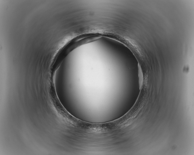 X0000090500540200707201549