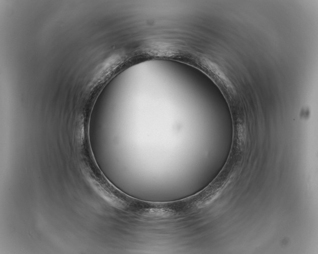X0000090500541200707201549