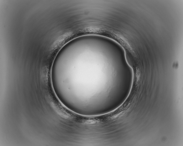 X0000090500542200707201549