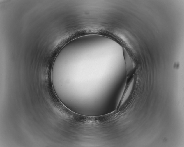 X0000090500543200707201549