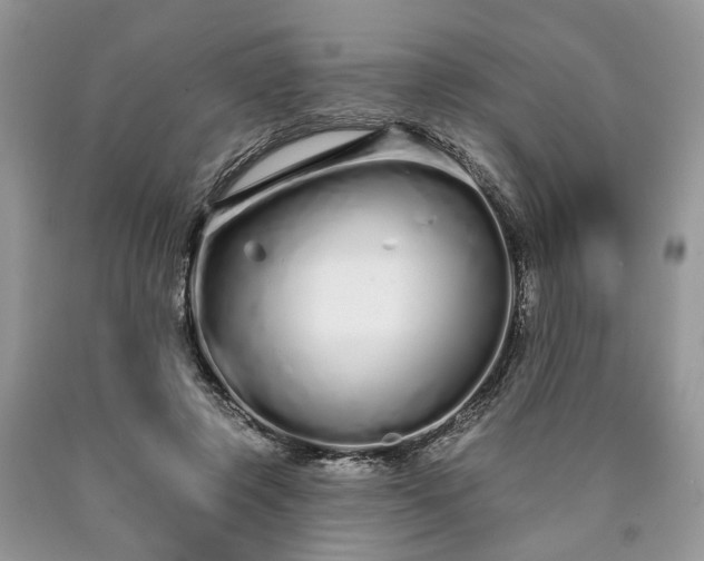 X0000090500545200707201549