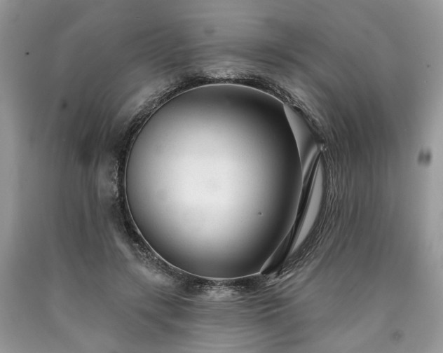 X0000090500547200707201549
