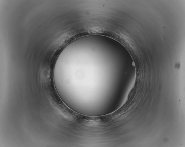 X0000090500548200707201549