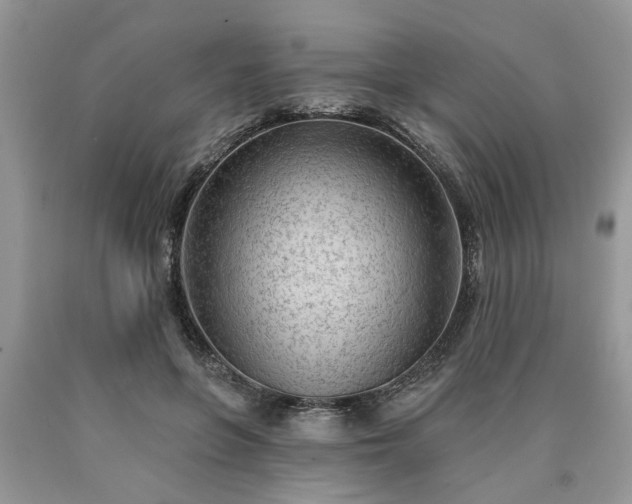 X0000090500551200707201549
