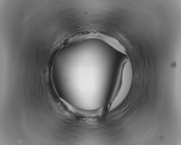 X0000090500552200707201549