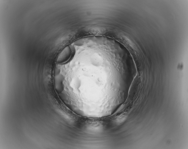 X0000090500553200707201549