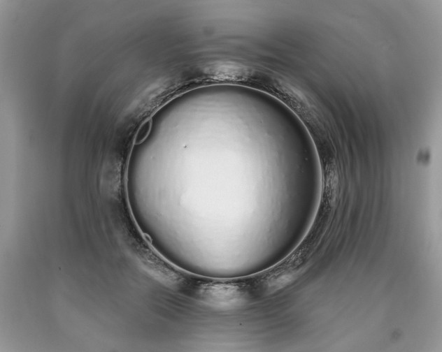 X0000090500554200707201549