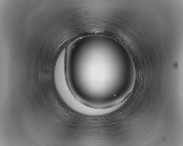 X0000090500556200707201549