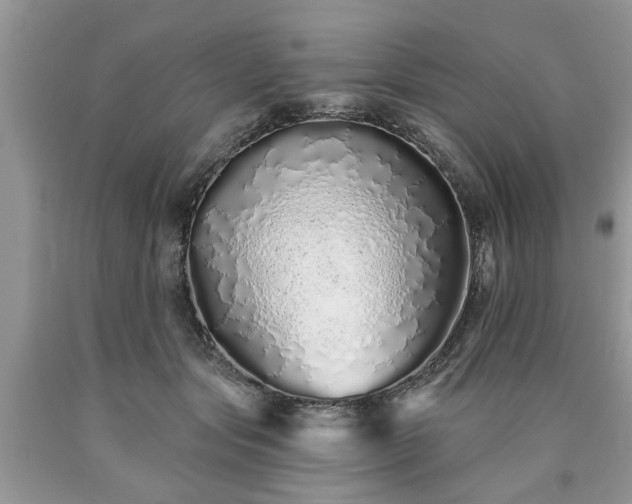 X0000090500557200707201549
