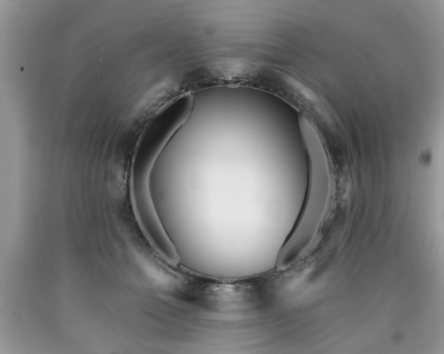 X0000090500558200707201549