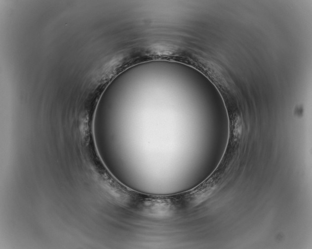 X0000090500559200707201549