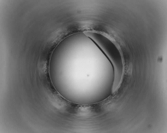 X0000090500560200707201549