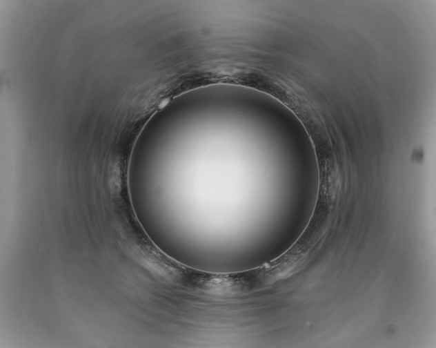X0000090500562200707201549