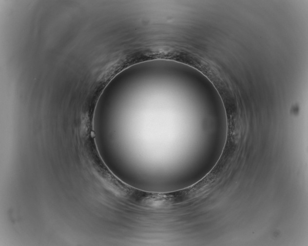 X0000090500563200707201549