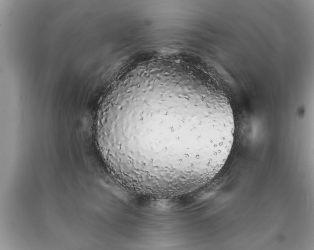 X0000090500565200707201549