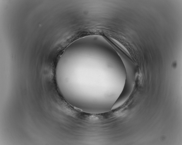 X0000090500566200707201549