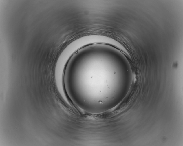 X0000090500568200707201549