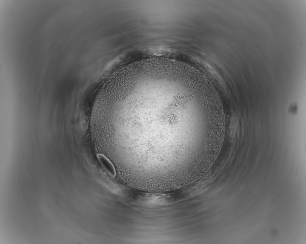 X0000090500569200707201549