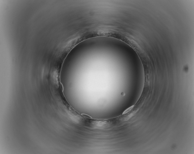 X0000090500575200707201549