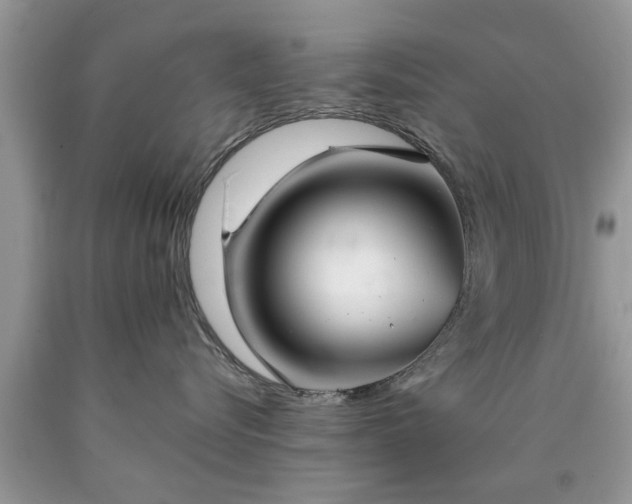 X0000090500576200707201549