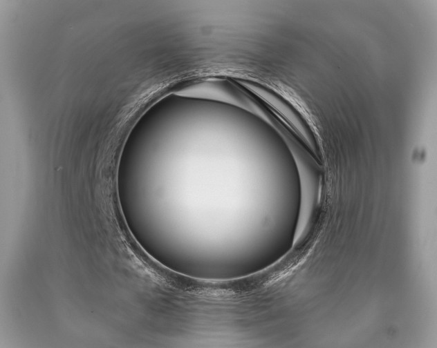 X0000090500577200707201548