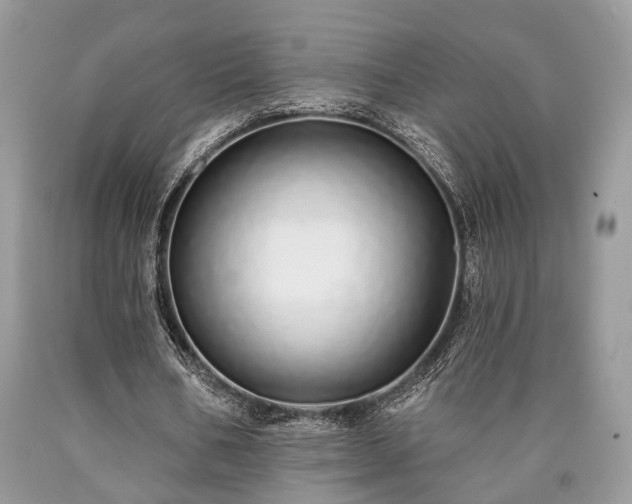 X0000090500578200707201548
