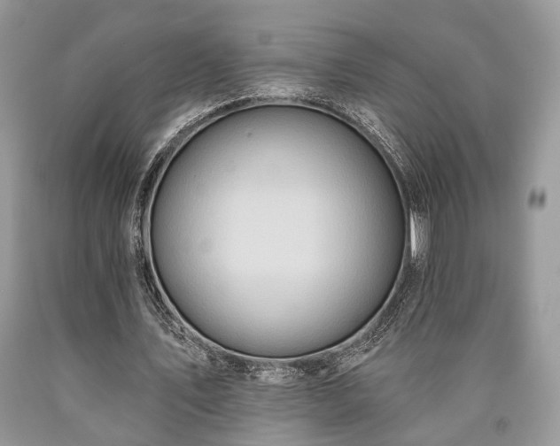 X0000090500579200707201548