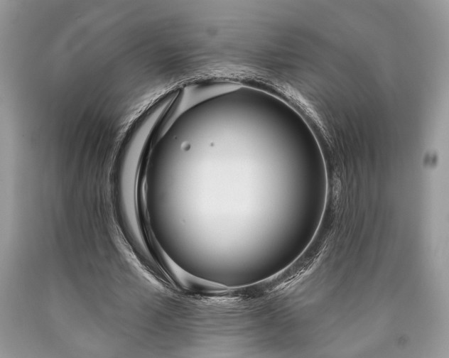 X0000090500581200707201548