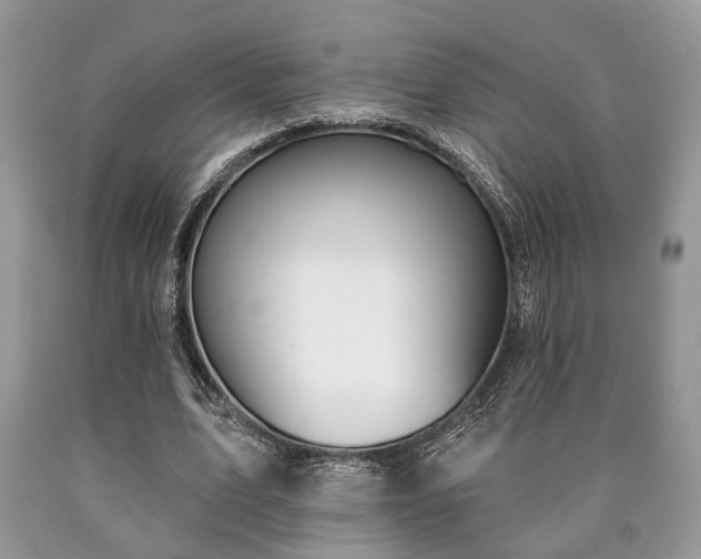 X0000090500583200707201548