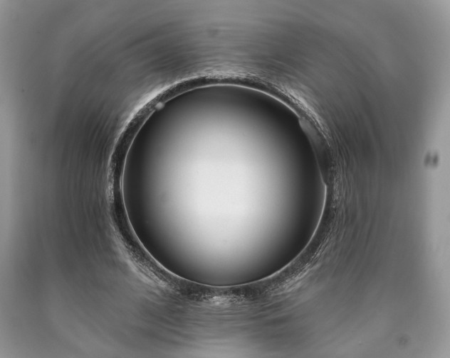 X0000090500584200707201548