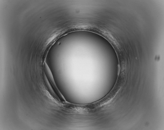 X0000090500585200707201548