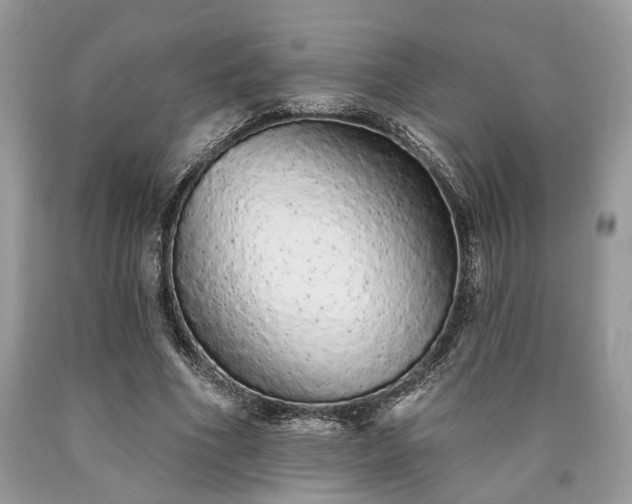 X0000090500586200707201548