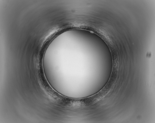 X0000090500587200707201548