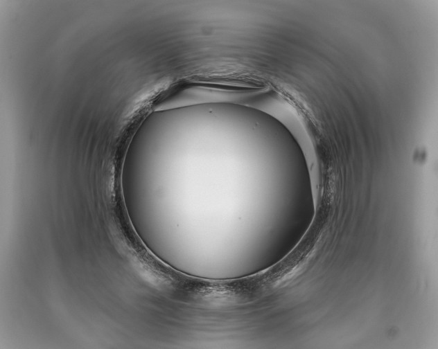 X0000090500589200707201548