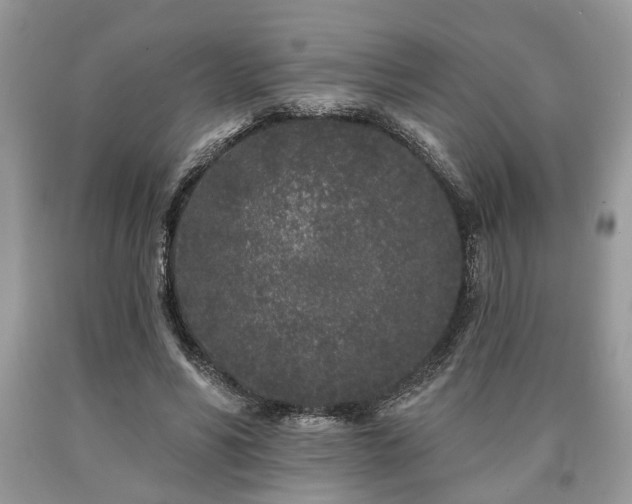 X0000090500590200707201548