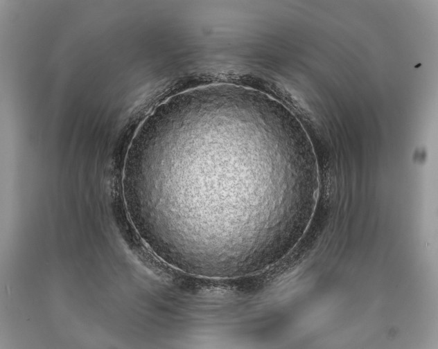 X0000090500594200707201548
