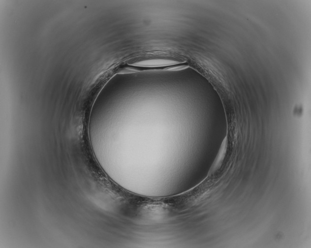 X0000090500595200707201548