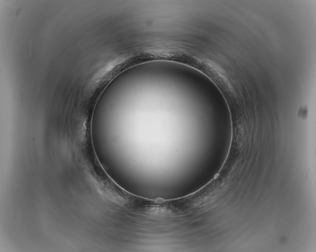 X0000090500596200707201548