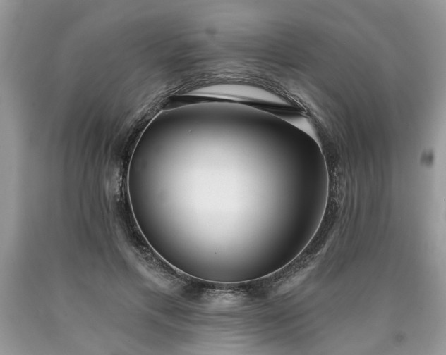 X0000090500597200707201548