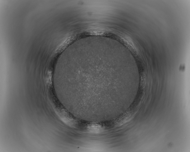 X0000090500598200707201548