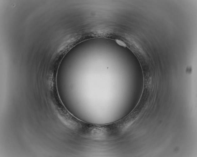X0000090500599200707201548